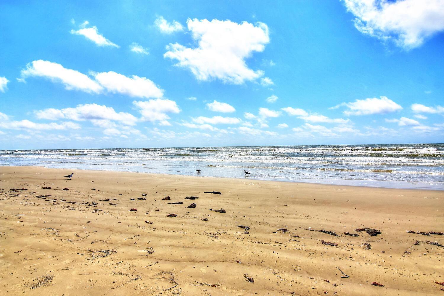 Sugar Shack Sh4897 Villa Port Aransas Luaran gambar